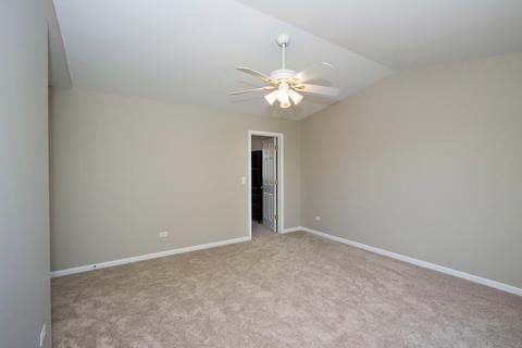 24209 Leski Ln, Plainfield, IL 60585 photo 21