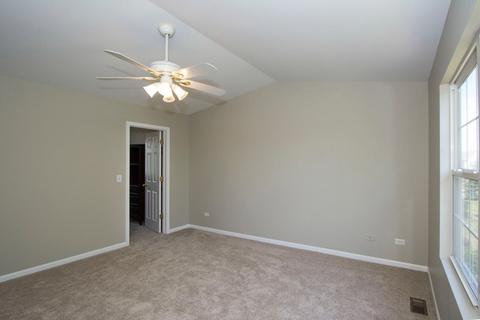 24209 Leski Ln, Plainfield, IL 60585 photo 20