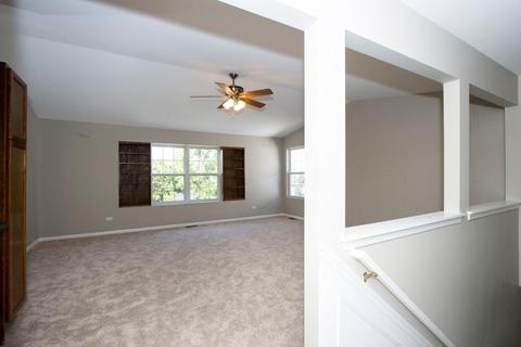 24209 Leski Ln, Plainfield, IL 60585 photo 24