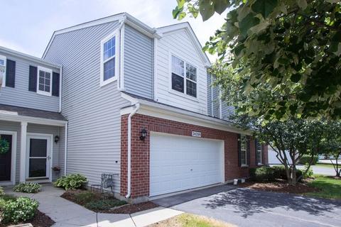 24209 Leski Ln, Plainfield, IL 60585 photo 2