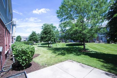 24209 Leski Ln, Plainfield, IL 60585 photo 6