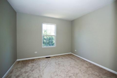 24209 Leski Ln, Plainfield, IL 60585 photo 23