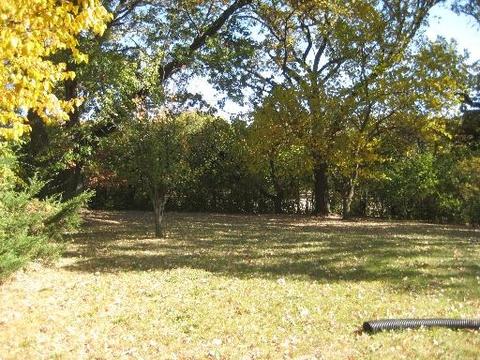 20443 Kedzie Ave, Olympia Fields, IL 60461 photo 14
