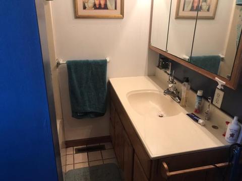 201 N Roberts St, Mark, IL 61340 photo 12