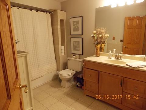 10515 Oconnell Ave, Mokena, IL 60448 photo 20