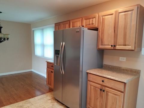 984 Hyacynth Ln, Bartlett, IL 60103 photo 5