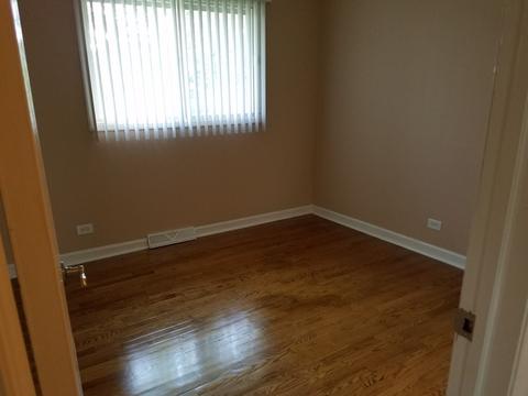 984 Hyacynth Ln, Bartlett, IL 60103 photo 9