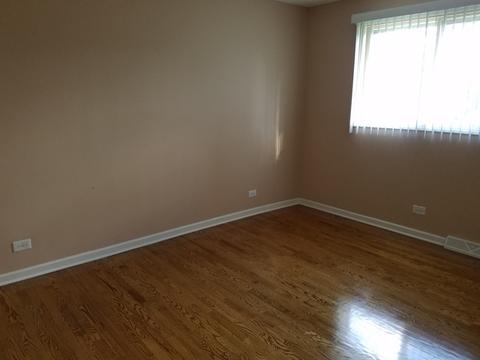 984 Hyacynth Ln, Bartlett, IL 60103 photo 10