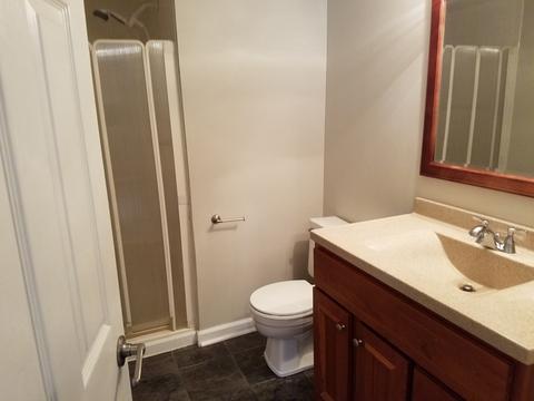 984 Hyacynth Ln, Bartlett, IL 60103 photo 12