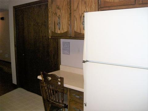 116 Redbud Ln, Morris, IL 60450 photo 29