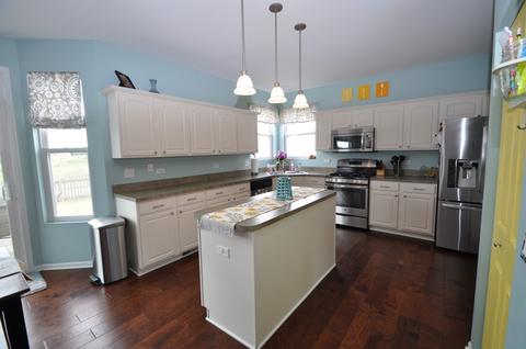 25056 Spring St, Manhattan, IL 60442 photo 9