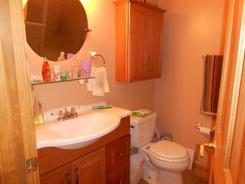 292 Pickett Ct, Bartlett, IL 60103 photo 11