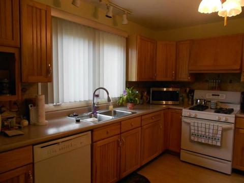 292 Pickett Ct, Bartlett, IL 60103 photo 3