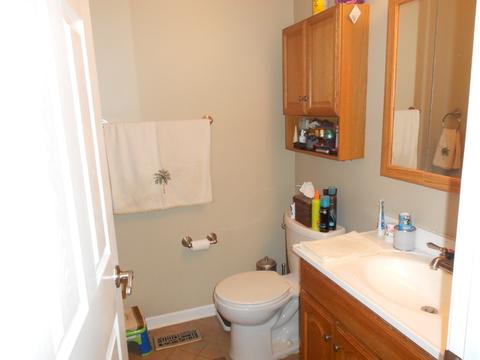 292 Pickett Ct, Bartlett, IL 60103 photo 13