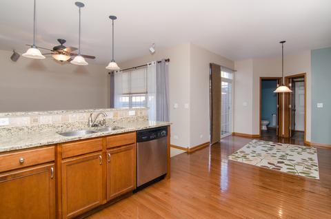 205 Garden Dr, Elgin, IL 60124 photo 17