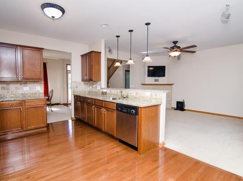 205 Garden Dr, Elgin, IL 60124 photo 10
