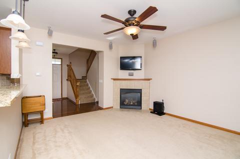 205 Garden Dr, Elgin, IL 60124 photo 8