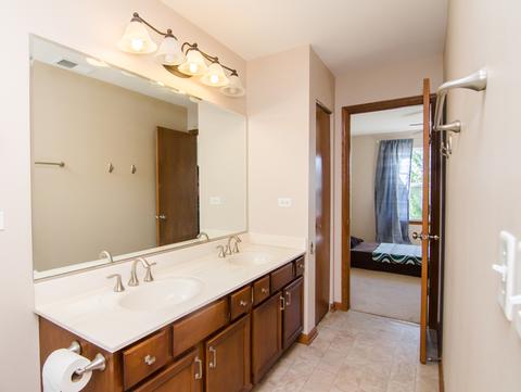 205 Garden Dr, Elgin, IL 60124 photo 27