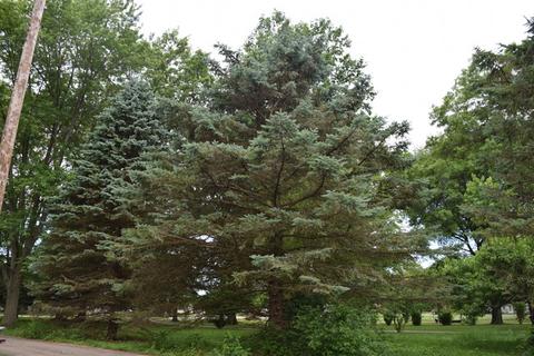 2817 River Rd, Kankakee, IL 60901 photo 8