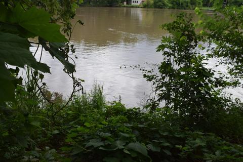 2817 River Rd, Kankakee, IL 60901 photo 3