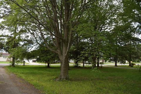 2817 River Rd, Kankakee, IL 60901 photo 11