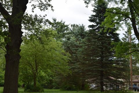 2817 River Rd, Kankakee, IL 60901 photo 6