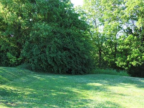 352 E Florence St, Oglesby, IL 61348 photo 23