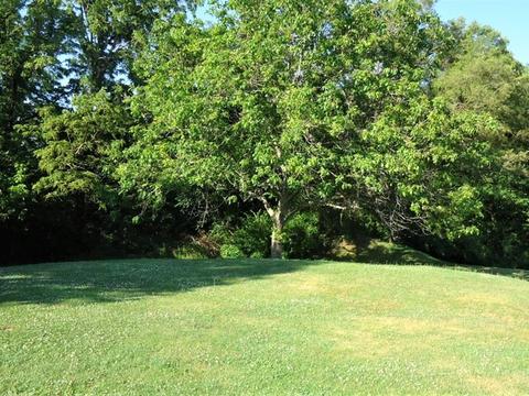 352 E Florence St, Oglesby, IL 61348 photo 22