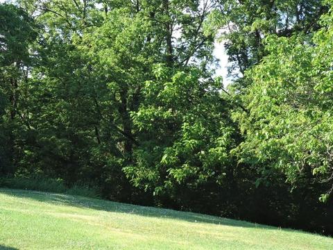 352 E Florence St, Oglesby, IL 61348 photo 21