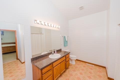 2914 Twin Falls Dr, Plainfield, IL 60586 photo 10