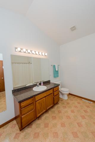 2914 Twin Falls Dr, Plainfield, IL 60586 photo 12