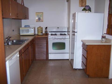 4004 Raven Ln, Rolling Meadows, IL 60008 photo 9