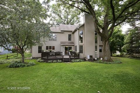 1010 Willoby Ln, Elgin, IL 60120 photo 20