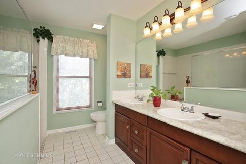 1010 Willoby Ln, Elgin, IL 60120 photo 11