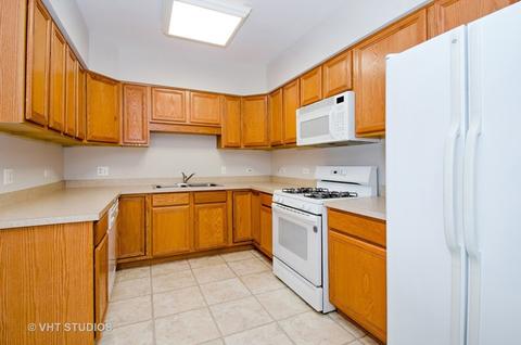 1349 E Washington St #606A, Des Plaines, IL 60016 photo 3