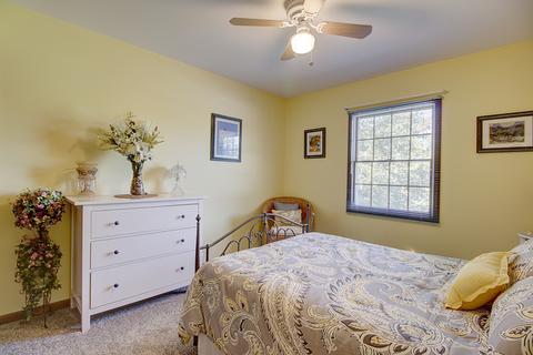 13105 Vicky St, Plainfield, IL 60585 photo 19