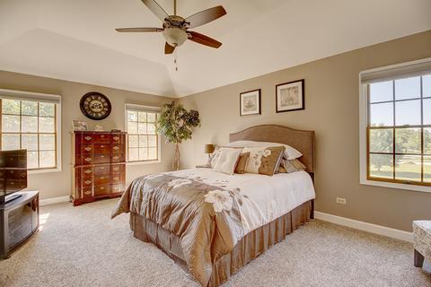 13105 Vicky St, Plainfield, IL 60585 photo 14