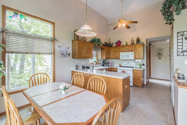  178 Harbor Lndg, Braidwood, IL 60408 photo 11