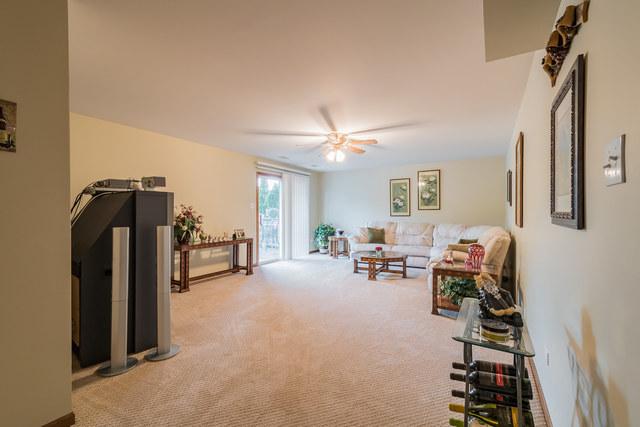  178 Harbor Lndg, Braidwood, IL 60408 photo 18