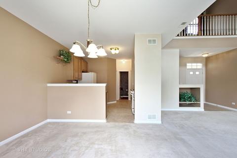 2916 Falling Waters Dr, Lindenhurst, IL 60046 photo 4