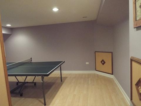 23816 Tall Grass Dr, Plainfield, IL 60585 photo 38