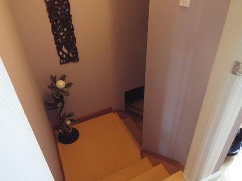 23816 Tall Grass Dr, Plainfield, IL 60585 photo 37
