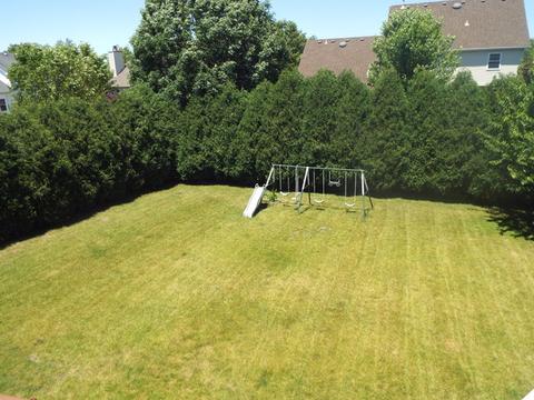 23816 Tall Grass Dr, Plainfield, IL 60585 photo 48