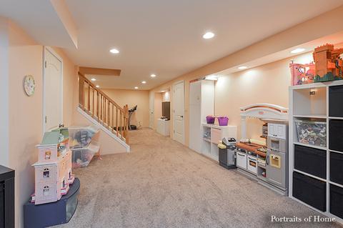 12940 Denise St, Plainfield, IL 60544 photo 31