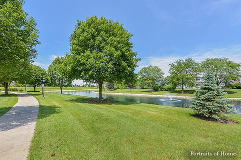 12940 Denise St, Plainfield, IL 60544 photo 36