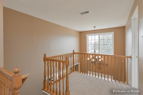 12940 Denise St, Plainfield, IL 60544 photo 21