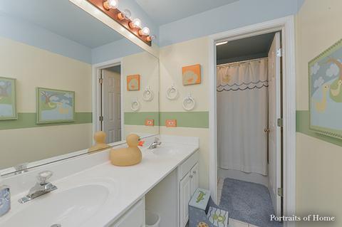 12940 Denise St, Plainfield, IL 60544 photo 28