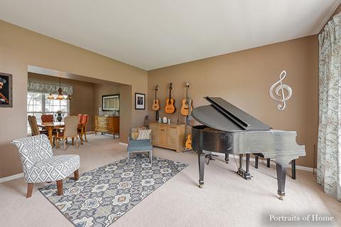 12940 Denise St, Plainfield, IL 60544 photo 8