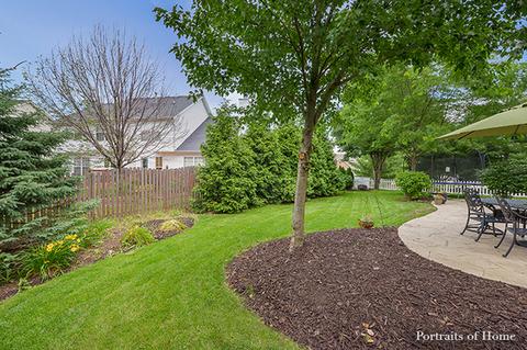 12940 Denise St, Plainfield, IL 60544 photo 5