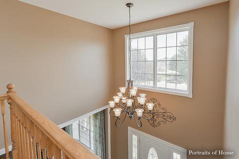 12940 Denise St, Plainfield, IL 60544 photo 22